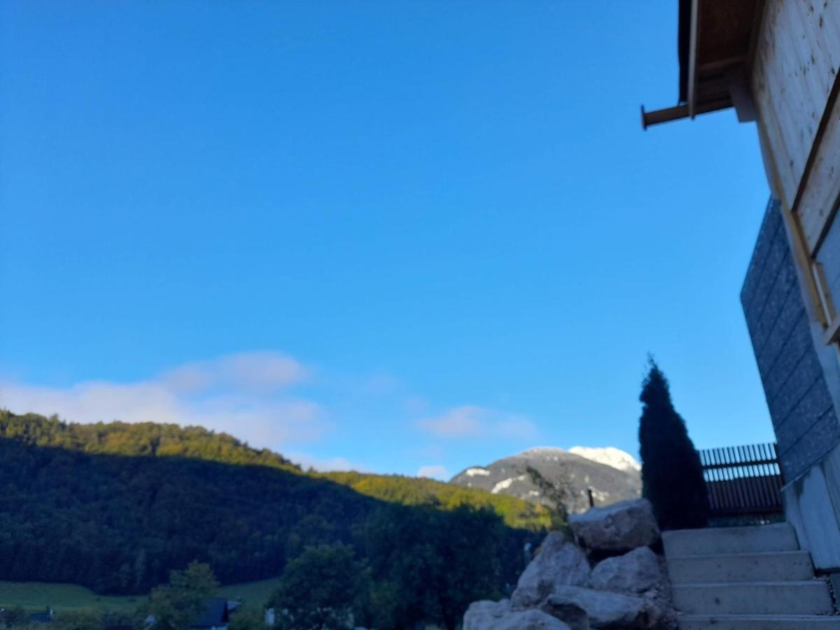 Auszeit Am Weinbuehel Leilighet Bad Ischl Eksteriør bilde