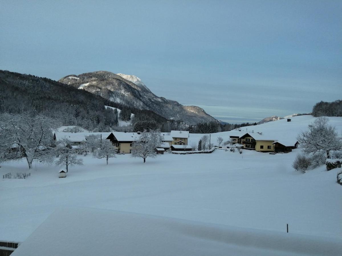 Auszeit Am Weinbuehel Leilighet Bad Ischl Eksteriør bilde